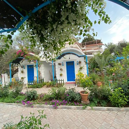 Sunmed Lodge Oludeniz Luaran gambar