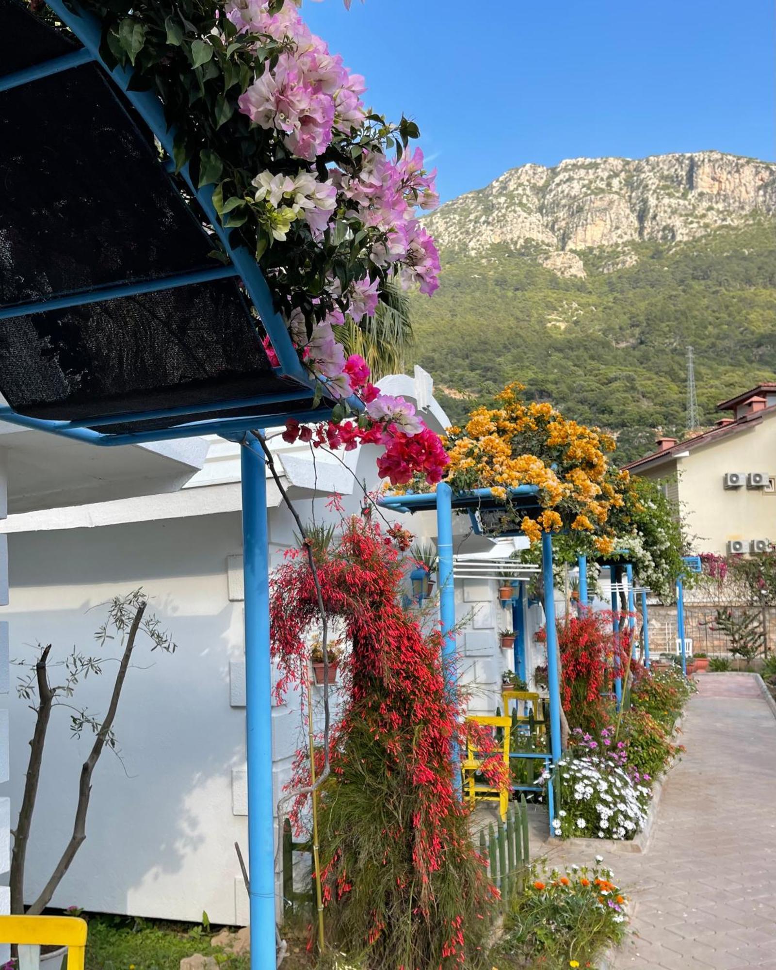 Sunmed Lodge Oludeniz Luaran gambar